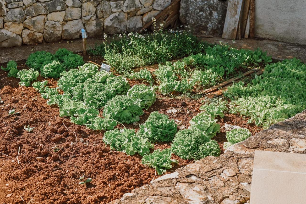 Vila Stala مالينسكا المظهر الخارجي الصورة