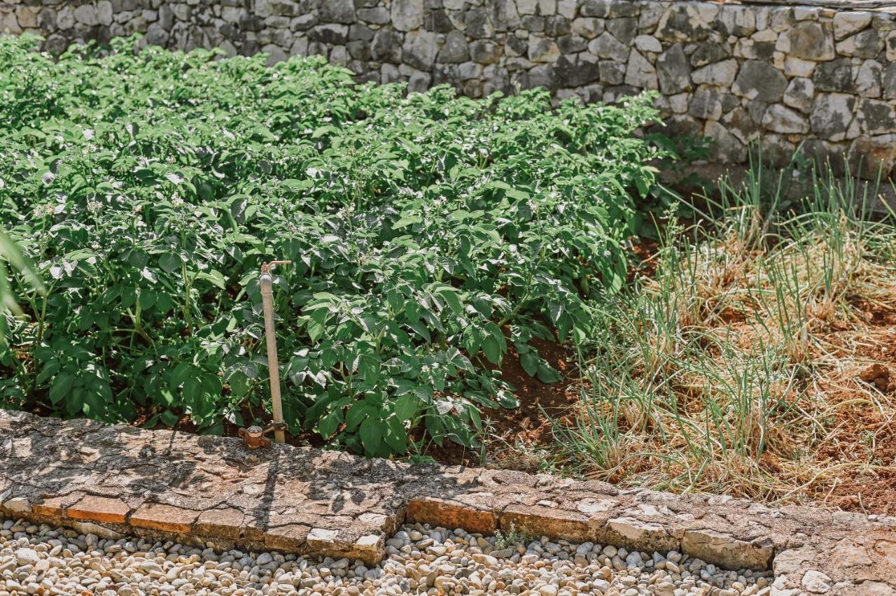 Vila Stala مالينسكا المظهر الخارجي الصورة